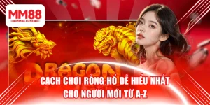 Cách Chơi Rồng Hổ Dễ Hiểu Nhất Cho Người Mới Từ A-Z