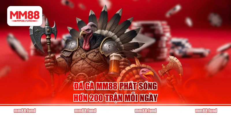 Đá Gà MM88 phát sóng hơn 200 trận mỗi ngày