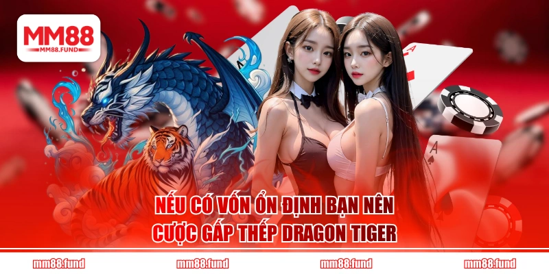 Nếu có vốn ổn định bạn nên cược gấp thếp Dragon Tiger