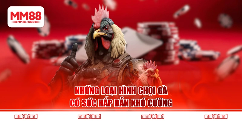 Những loại hình chọi gà có sức hấp dẫn khó cưỡng