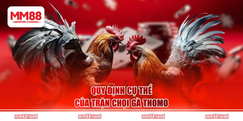 Quy định cụ thể của trận chọi gà Thomo