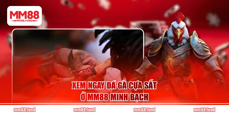 Xem ngay đá gà cựa sắt ở MM88 minh bạch