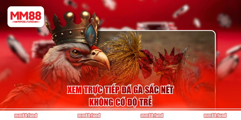 Xem trực tiếp đá gà sắc nét, không có độ trễ